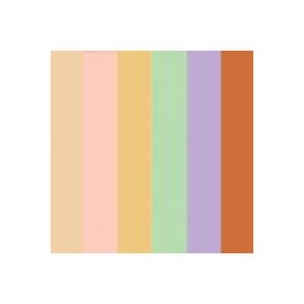 Golden Rose Correct Conceal Camouflage Palette Kapatıcı