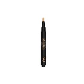 Golden Rose Hd No:09 High Definition Concealer