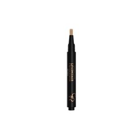 Golden Rose Hd No:10 High Definition Concealer