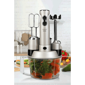 Goldmaster Elenamax Silver 1000 Watt Hız Ayarlı %100 Bakır Motor 5 In 1 Mutfak Robotu Multi Blender Seti