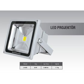 Goldmaster LA 603-30 W Led Projektör