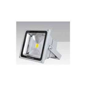 Goldmaster LA 603-30 W Led Projektör