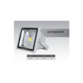 Goldmaster LA 603-30 W Led Projektör