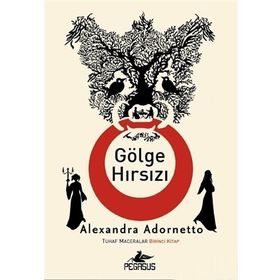 GÖLGE HIRSIZI - MARC LEVY