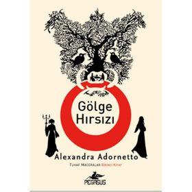 GÖLGE HIRSIZI - MARC LEVY