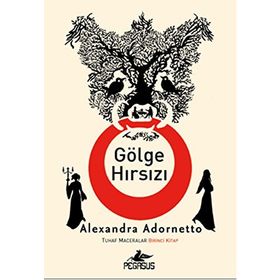 GÖLGE HIRSIZI - MARC LEVY