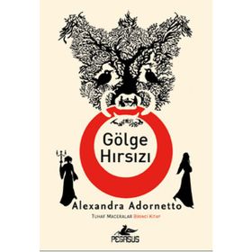 GÖLGE HIRSIZI - MARC LEVY