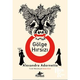 GÖLGE HIRSIZI - MARC LEVY