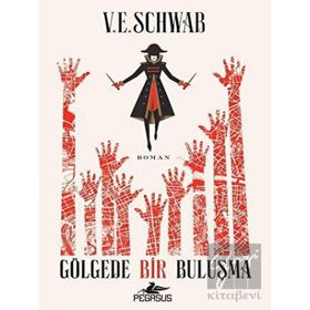 Gölgede Bir Buluşma 2 Sihrin Tonları - Schwab