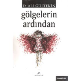 Gölgelerin Ardından - Ali Gürtekin