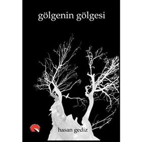 GÖLGENİN GÖLGESİ - HARI KUNZRU