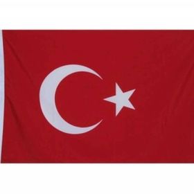 Gönder Bayrak 20 x 30 cm Türk Bayrağı