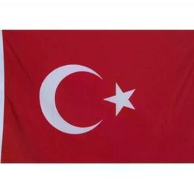 Gönder Bayrak 20 x 30 cm Türk Bayrağı