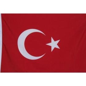 Gönder Bayrak 20 x 30 cm Türk Bayrağı