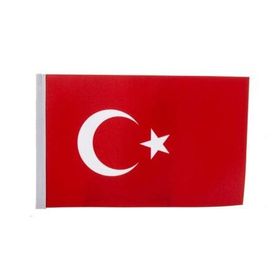 Gönder Bayrak 20 x 30 cm Türk Bayrağı