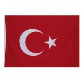 Gönder Bayrak 20 x 30 cm Türk Bayrağı