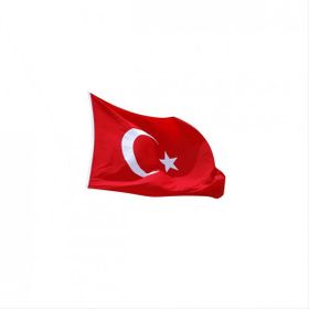 Gönder Bayrak 20 x 30 cm Türk Bayrağı