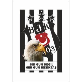 Gönder Bayrak 200 x 300 cm Raşhel Kumaş Beşiktaş Bayrağı