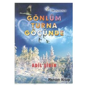 Gönlüm Turna Göçünde - Adil Şirin