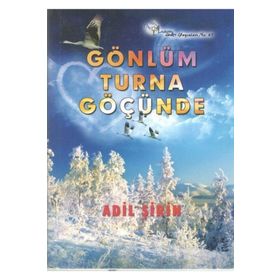 Gönlüm Turna Göçünde - Adil Şirin