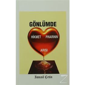 GÖNLÜMDE HIKMET PINARININ ARISI - İSMAİL ÇETİN
