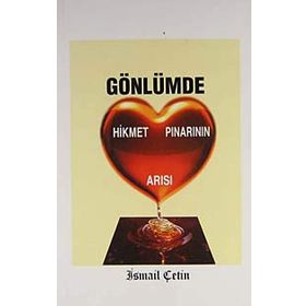 GÖNLÜMDE HIKMET PINARININ ARISI - İSMAİL ÇETİN