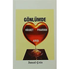 GÖNLÜMDE HIKMET PINARININ ARISI - İSMAİL ÇETİN