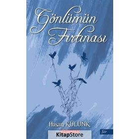 Gönlümün Fırtınası - Hasan Külünk