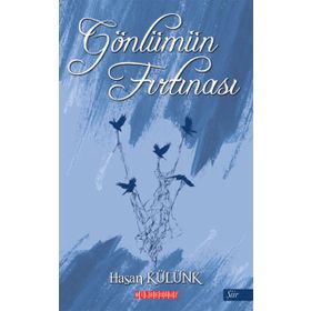 Gönlümün Fırtınası - Hasan Külünk