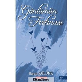 Gönlümün Fırtınası - Hasan Külünk
