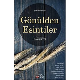 Gönülden Esintiler - Şevki Çiftçi
