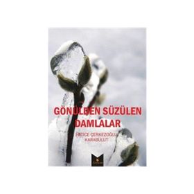 Gönülden Süzülen Damlalar - Hatice Karabulut