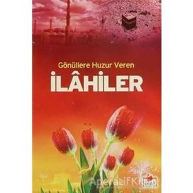 GÖNÜLLERE HUZUR VEREN İLAHİLER (2. HMR + D. BOY + CILTSIZ) - ALI GÜRKAN ULUCAN