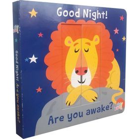 Good Night! Are You Awake? (Ciltli)