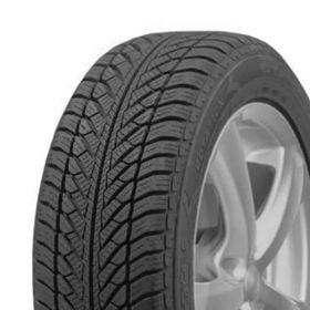 Goodyear 205/50 R17 89H UltraGrip Performance 2 FP RFT Kış Lastiği 2023