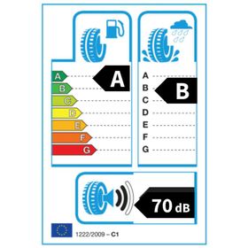 Goodyear 215/55 R17 98W XL EfficientGrip Performance 2 Yaz Lastiği