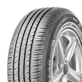 Goodyear 245/40 R20 99V XL EfficientGrip Performance SUV VOL Yaz Lastiği