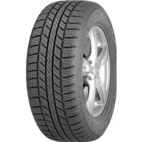 Goodyear 255/65 R16 109H Wrangler HP All Weather Yaz Lastiği 2023