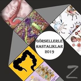 Görsellerle Hastalıklar 2019 - Cengiz Yakıncı