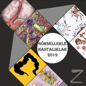 Görsellerle Hastalıklar 2019 - Cengiz Yakıncı