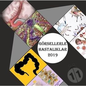 Görsellerle Hastalıklar 2019 - Cengiz Yakıncı