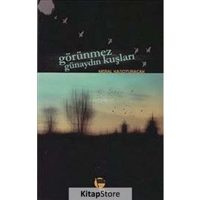 Görünmez Günaydın Kuşları / Meral Kasoturacak / Belge Yayınları