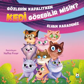 Gözlerin Kapalıyken Kedi Görebilir misin? Elvan Karadeniz