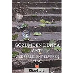 Gözümden Dünya Aktı / Ayşe Serbülent Elveren