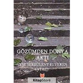 Gözümden Dünya Aktı / Ayşe Serbülent Elveren