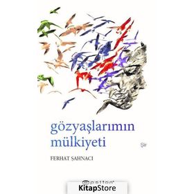 Gözyaşlarımın Mülkiyeti - Ferhat Şahnacı