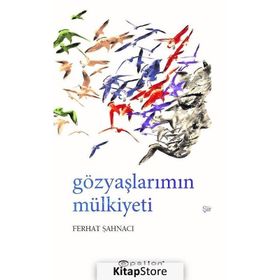 Gözyaşlarımın Mülkiyeti - Ferhat Şahnacı