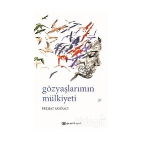 Gözyaşlarımın Mülkiyeti - Ferhat Şahnacı