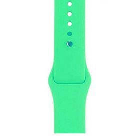 Gpack Apple Watch 42 mm Kılıf Silikon Düz Renkli KRD 11 Yeşil Kordon