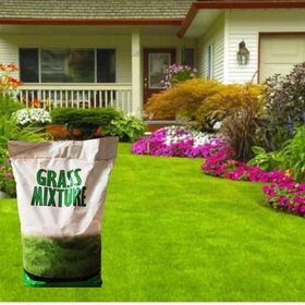 Grass Mixture Galaxy 6 Karışımlı İthal Çim Tohumu